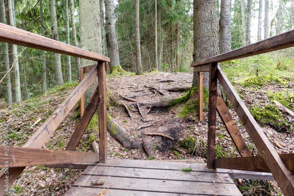 a narrow wooden bridge in the forest leading to a small hill.
a narrow wooden bridge in the forest leading to a small hill.