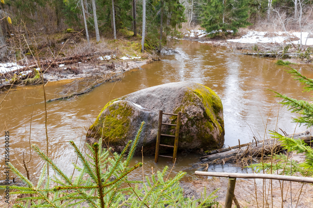 Fototapeta premium a large rock in the water with a ladder attached to it.