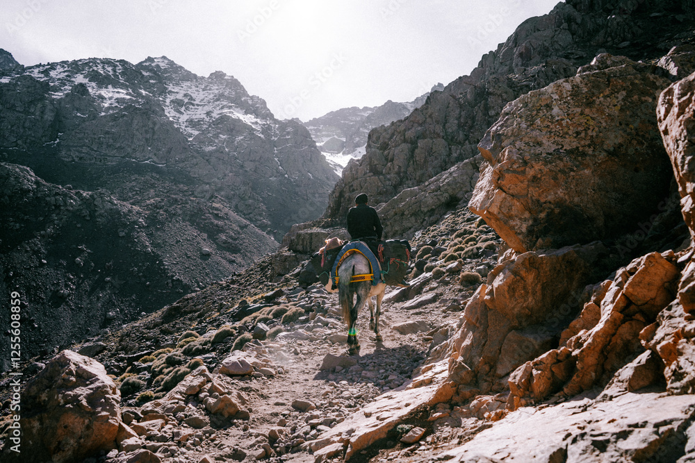 Obraz premium Moroccan Heights – Snowy Slopes of Toubkal - Marrakech imlil October 26, 2025 