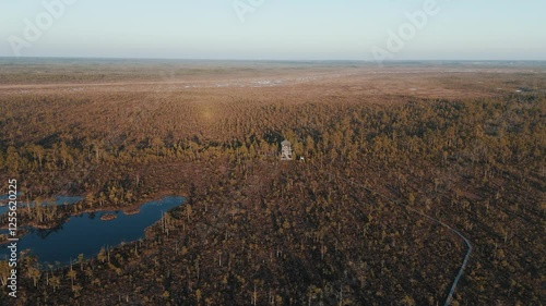 Cena Moorland Footpath Viewing Tower, Frozen Lake Skaists in Winter Aerial Slow Shot. Latvia Second Largest Bog With 5 Km Long Footpath Trail. Cena Bog and Iced Lake Skaists With Islands at Winter
 photo