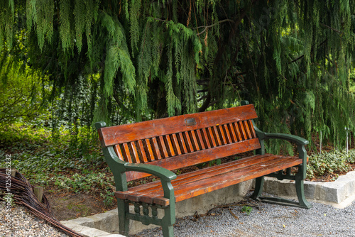 Arboretum Wojsławice Ogród Botaniczny Uniwersytetu Wrocławskiego – ogród botaniczny na terenie Niemczy w woj. dolnośląskim. W 1988 roku włączony w struktury Ogrodu Botanicznego . photo