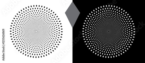 Abstract background with rhombuses in circle. Art design circle as logo or icon. A black figure on a white background and an equally white figure on the black side.