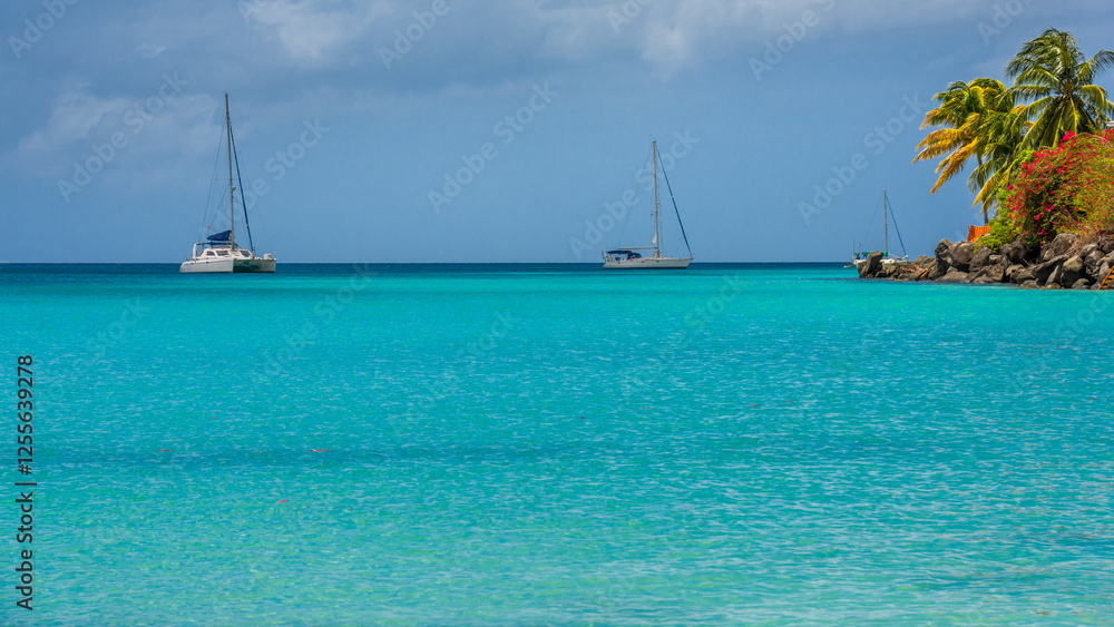 Obraz premium Grand Anse beach in Grenada