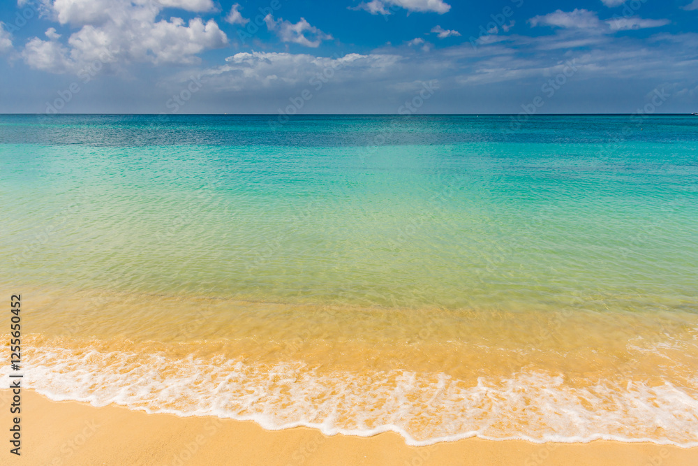 Obraz premium Grand Anse beach in Grenada