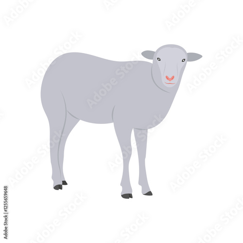 Sheep Flat Icon, Vector illustration
