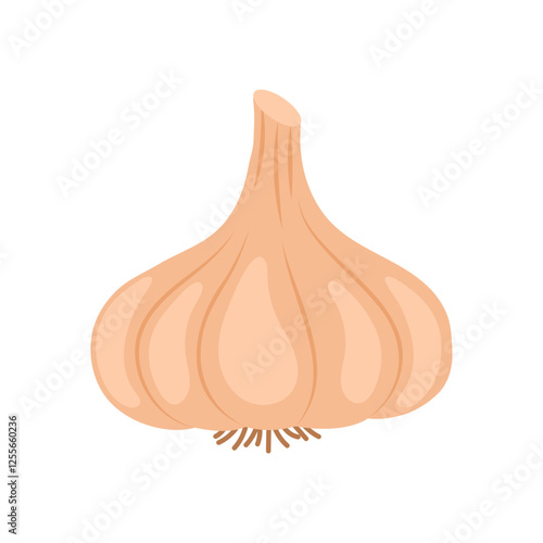 Garlic Flat Icon, Vector illustration