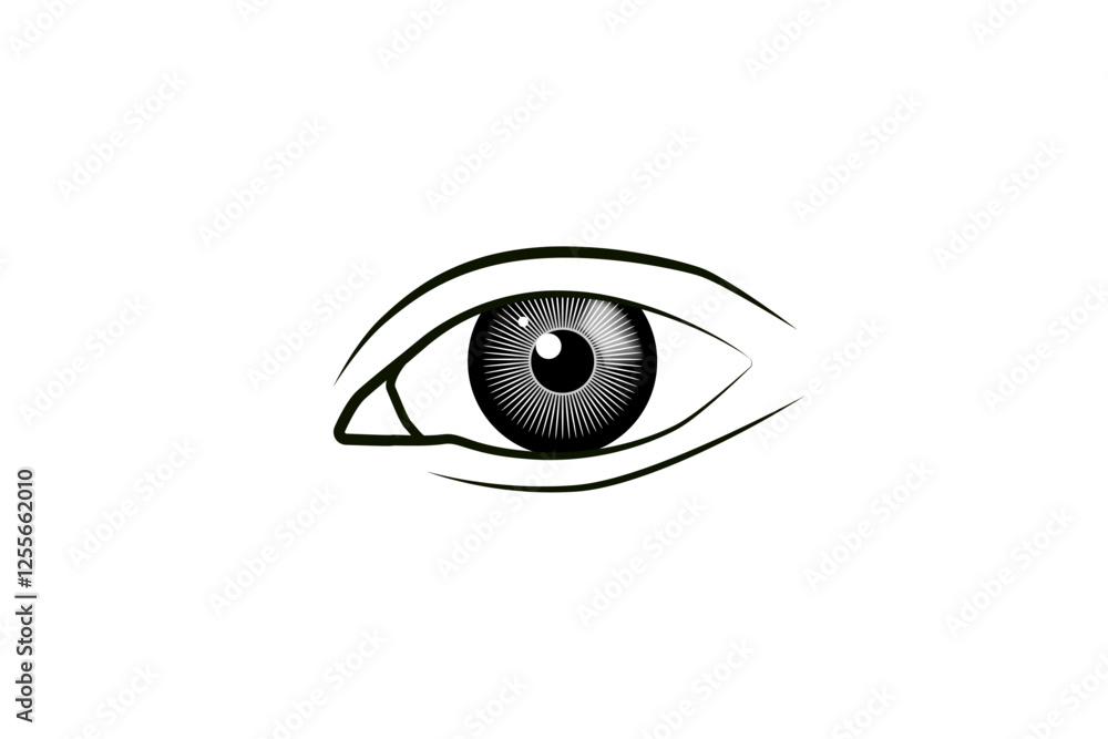 Human Eye vector illustration. Beautiful eye vector. Human Eye vector illustration. Beautiful eye vector.