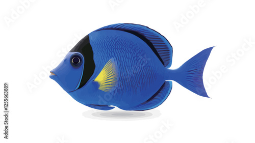 Close-up studio shot of a single blue tang fish against a pure white background.  The fish is presented in profile view, showcasing its deep blue coloration, black markings on its face and