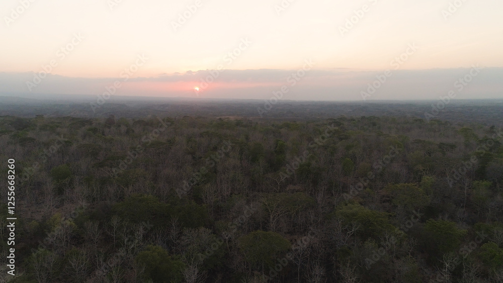 aerial view sunset over savannah forest. foothill rainforest at sunset time. sunset over the savanna landscape java, indonesia. aerial view sunset over savannah forest. foothill rainforest at sunset time. sunset over the savanna landscape java, indonesia.