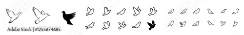 A set of dove outlines in isolated line art style, created as a modern hand-drawn illustration