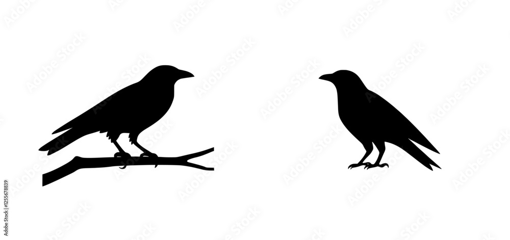 Obraz premium On a white background, the contemporary image of a black raven or crow stands as a symbol of Halloween and cemeteries, playing dual roles as a predator and scavenger