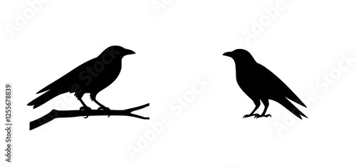 Wallpaper Mural On a white background, the contemporary image of a black raven or crow stands as a symbol of Halloween and cemeteries, playing dual roles as a predator and scavenger Torontodigital.ca