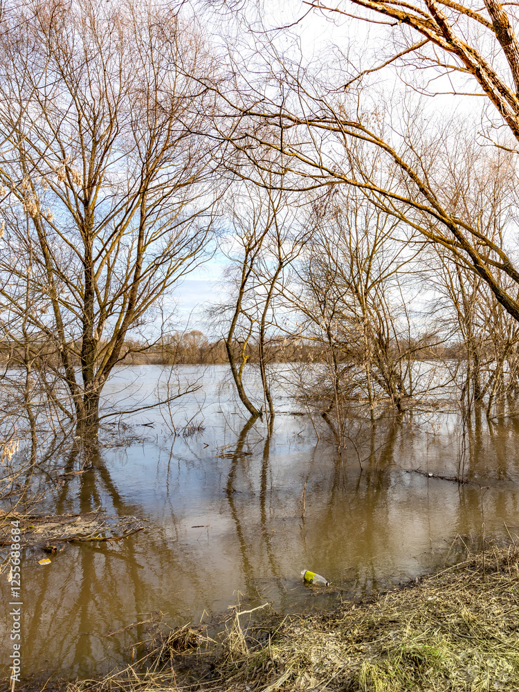 Body of water with trees in the background Body of water with trees in the background