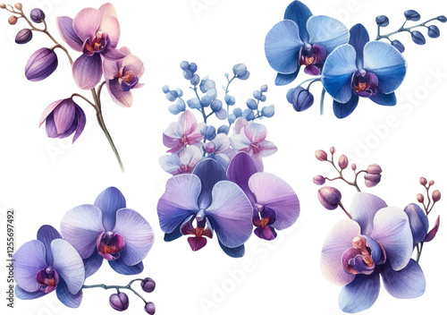 Set with blue and purple orchids painted in watercolor. Orchid flower