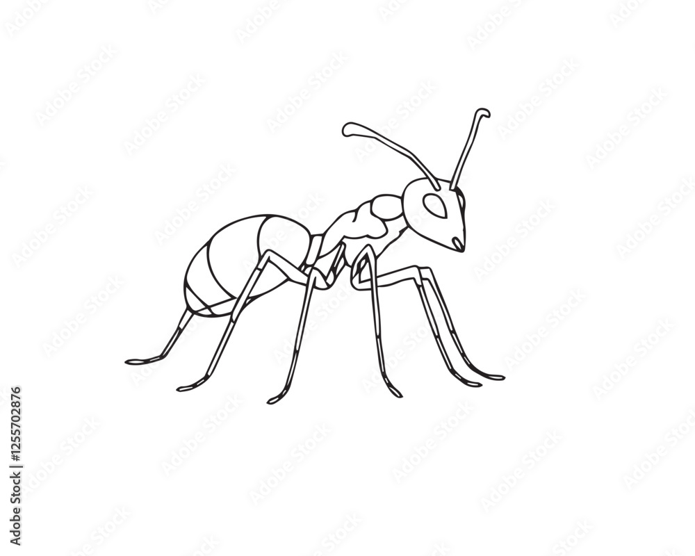 Fototapeta premium A black and white line art illustration of an ant, distinctly split into bold, divided sections. The style is simple, bold, and easily colorable with a clear white background, Vector.