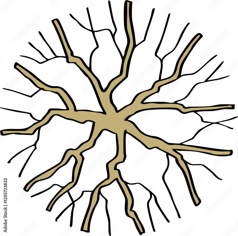 decoration hand drawn cartoon top view of tree illustration for landscape and architecture design. decoration hand drawn cartoon top view of tree illustration for landscape and architecture design.