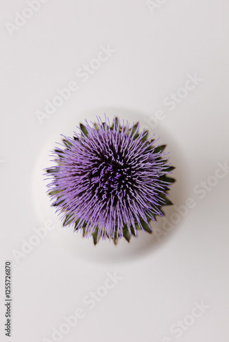 Artichoke in full bloom with purple flower in a white vase, seen from above.