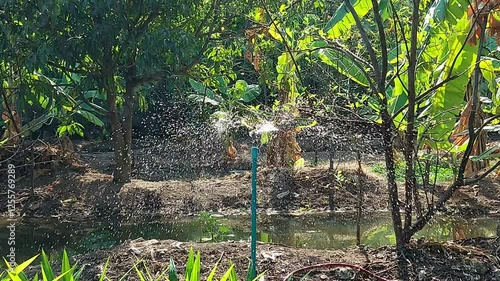 Gardeners are watering their plants with sprinklers.