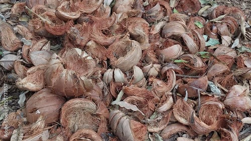 A pile of dried coconut shells