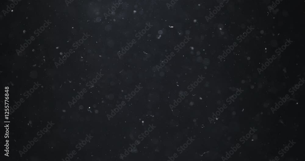 Captivating and mesmerizing display of particles gracefully suspended within dark and intriguing ambiance Captivating and mesmerizing display of particles gracefully suspended within dark and intriguing ambiance