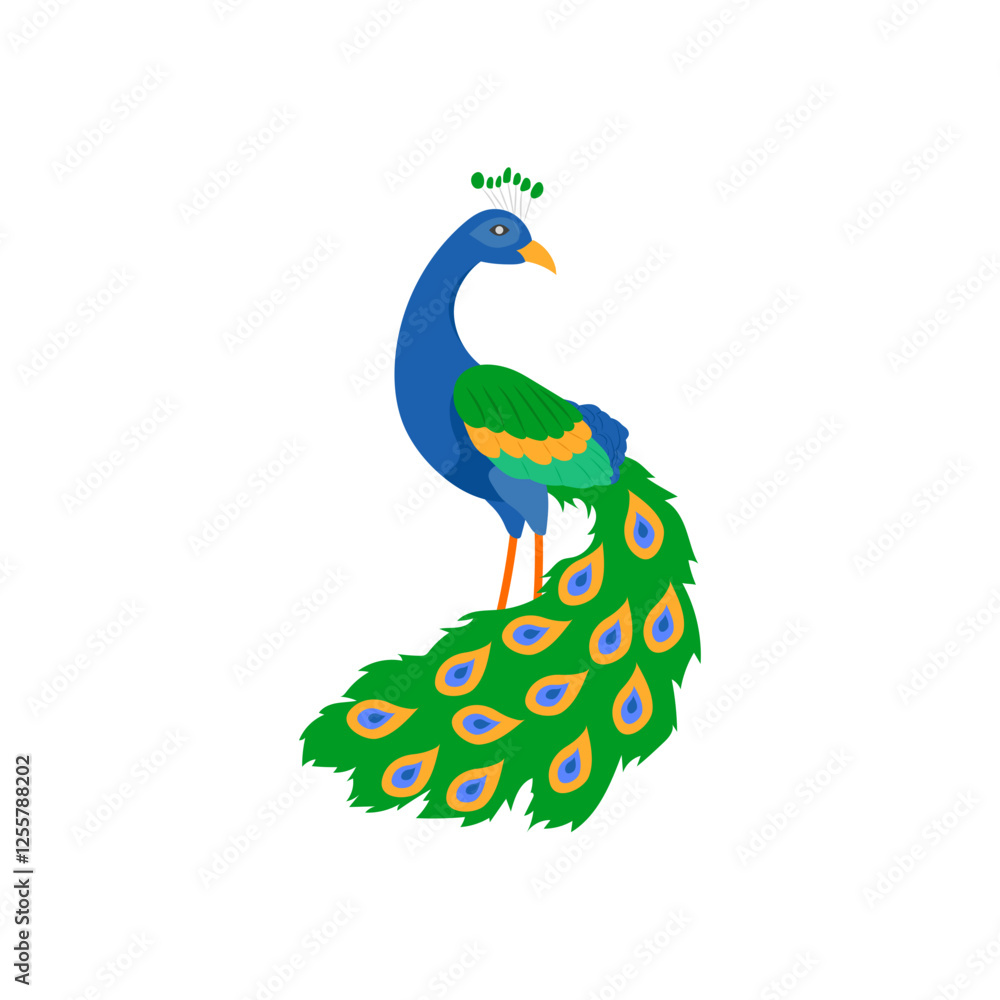 Obraz premium Peacock, Indian Symbol Vector Illustration