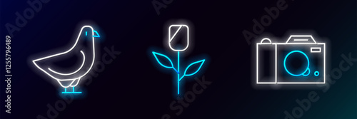 Set line Photo camera, Dove and Flower rose icon. Glowing neon. Vector