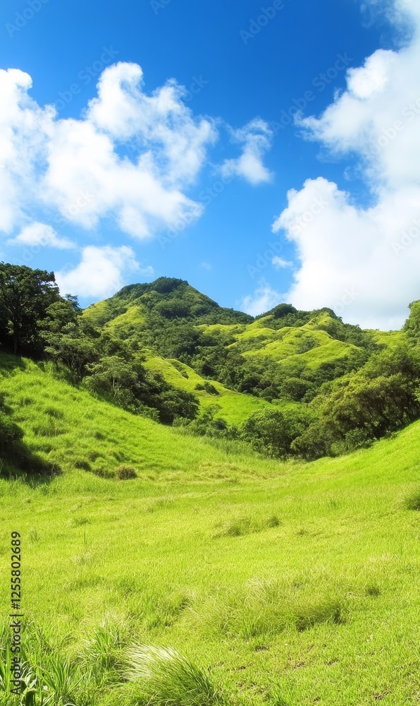 Green valley with lush grass, trees, and hills under a blue sky with clouds. Ideal for nature backgrounds Green valley with lush grass, trees, and hills under a blue sky with clouds. Ideal for nature backgrounds