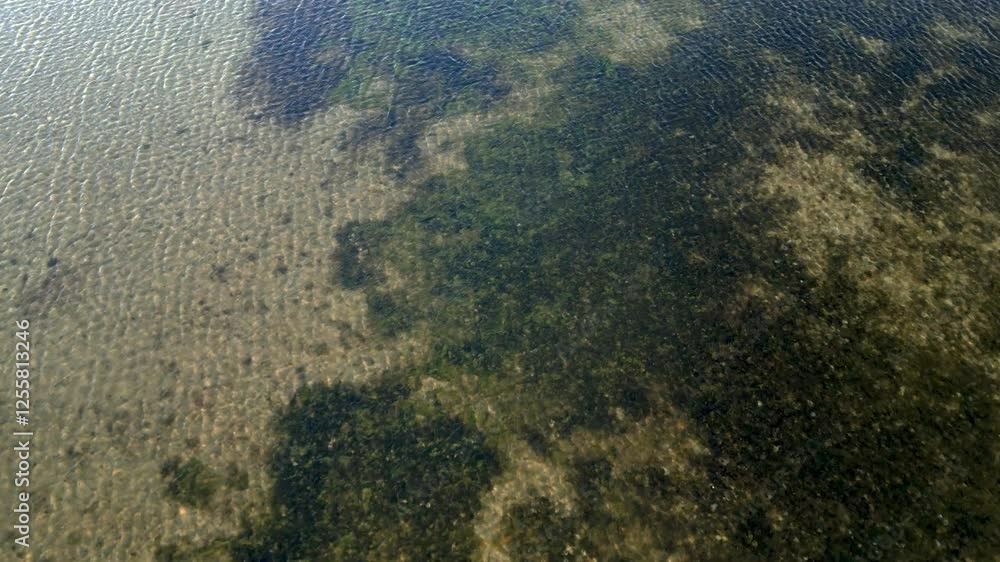 Drone capturing the algae under the surface of the clear water of Swan River in Perth, Australia Drone capturing the algae under the surface of the clear water of Swan River in Perth, Australia
