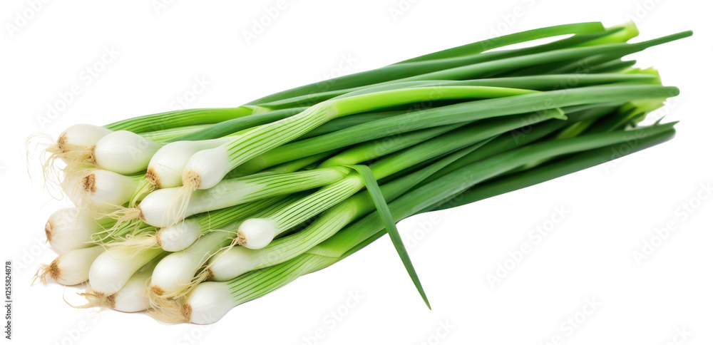 PNG Fresh spring onions vegetable plant food. PNG Fresh spring onions vegetable plant food.