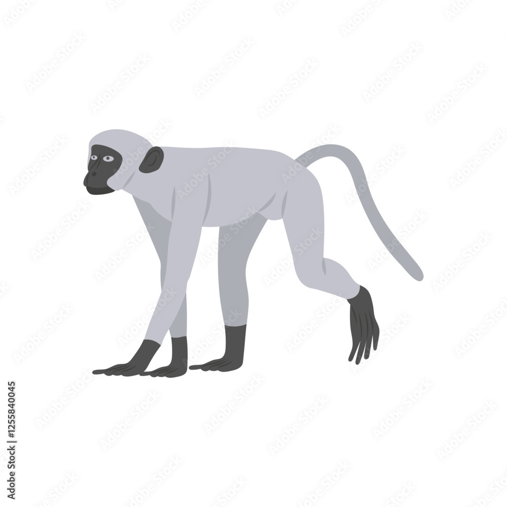 Monkey Zodiac, China Symbols Vector Illustration Monkey Zodiac, China Symbols Vector Illustration