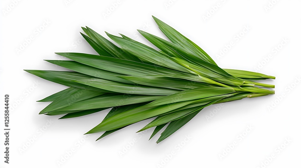Fototapeta premium Vibrant Pandan Leaves Isolated on White Background AI Generated