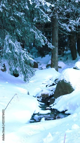 Wallpaper Mural A small stream of water in a winter forest in the mountains Torontodigital.ca