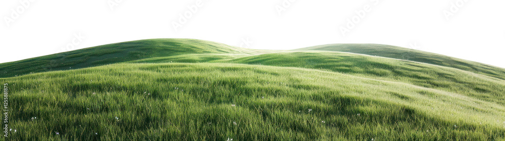 Fototapeta premium PNG Green hill countryside grassland landscape.