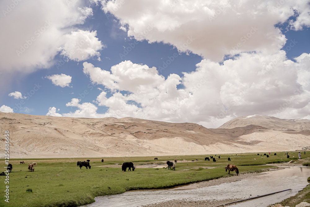 Obraz premium Tsomoriri Lake. It is located approximately 219 km from Leh City, capital of Ladakh. The lake and surrounding area are protected as the Tso Moriri Wetland Conservation Reserve.