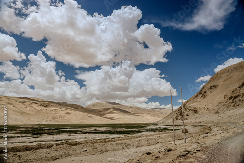 Tsomoriri Lake. It is located approximately 219 km from Leh City, capital of Ladakh. The lake and surrounding area are protected as the Tso Moriri Wetland Conservation Reserve. photo