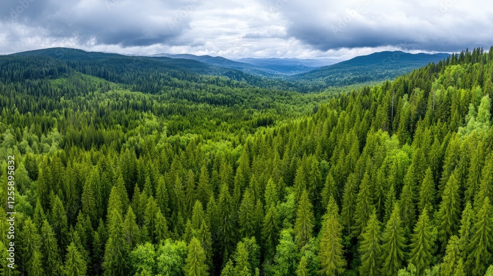 Obraz premium Aerial view of vast, lush, green forest under cloudy sky