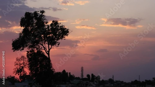 The sun is setting and the wind is blowing in the evening. sky is turnin red. A beautiful scene. A village in Dehradun. Uttarakhand. india. 05- 26-2020 photo