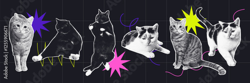 set of halftone Retro Pop Art Cats on a Bold Neon Abstract Background