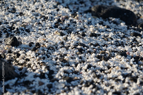 Popcorn Beach, Fuerteventura