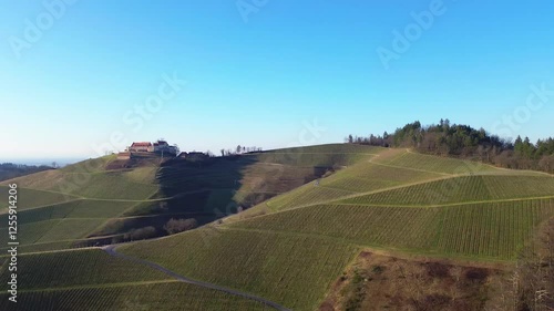 Wallpaper Mural Aerial Drone Footage of Picturesque Vineyards in Germany Torontodigital.ca