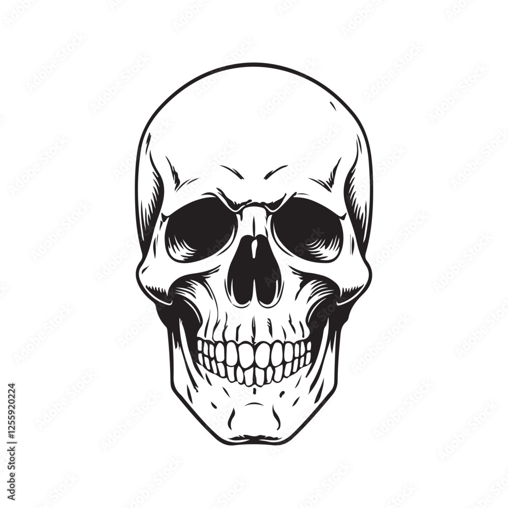 skull art vector illustration on white background skull art vector illustration on white background