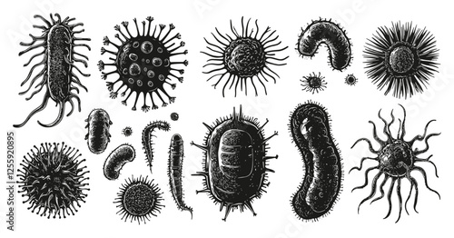 Different Bacterias Black Silhouettes Set Black and White Linocut Print Style Microorganisms Pathogens Germs Illustration Scientific Icons Nature Prints