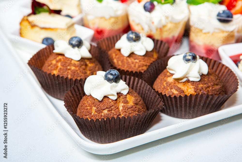 Catering buffet or service with different snacks, appetizers and canapes on a table. Variety of Freshly Prepared Catering Food for an Event. Catering buffet or service with different snacks, appetizers and canapes on a table. Variety of Freshly Prepared Catering Food for an Event.