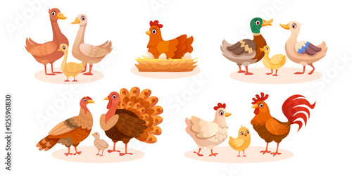 Farm birds. Cartoon poultry animals, hen chicken on nest breeds turkey goose duck or rooster family walking farmyard, farmer domestic bird livestock set, swanky vector illustration