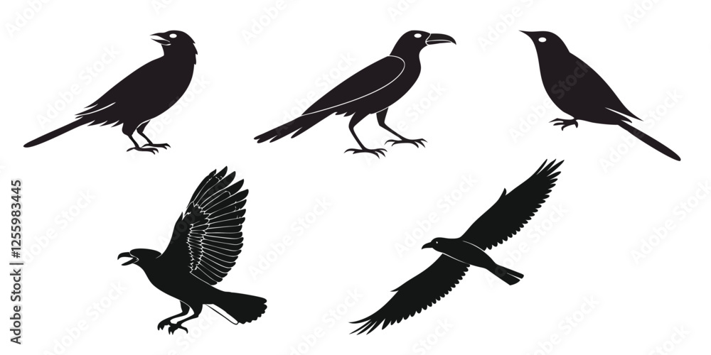 Silhouettes of Birds in Various Poses Silhouettes of Birds in Various Poses