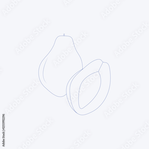 Hand drawn  sweet food Papaya line art
