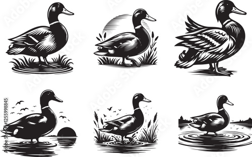 Set of mallard water vector art black silhouette with white background