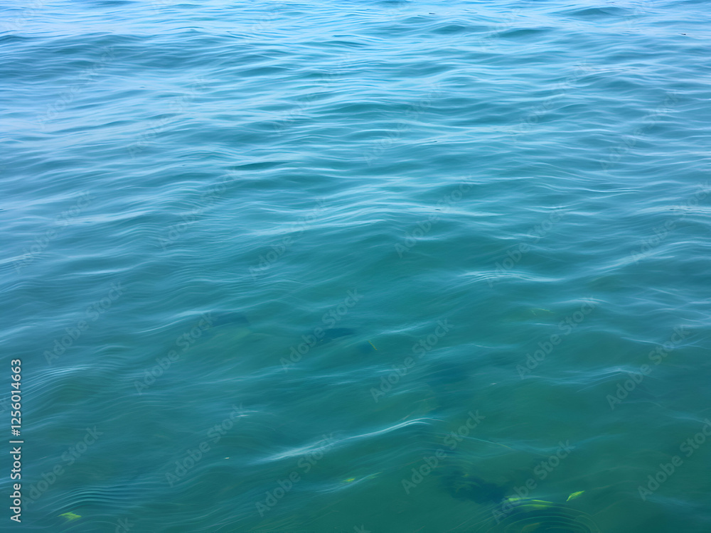 Peaceful blue ocean with gentle waves rippling under clear skies, creating a tranquil ambiance. Peaceful blue ocean with gentle waves rippling under clear skies, creating a tranquil ambiance.