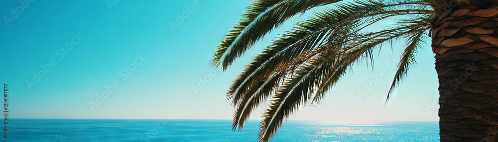 Fototapeta premium View of ocean horizon framed by palm tree under bright sky