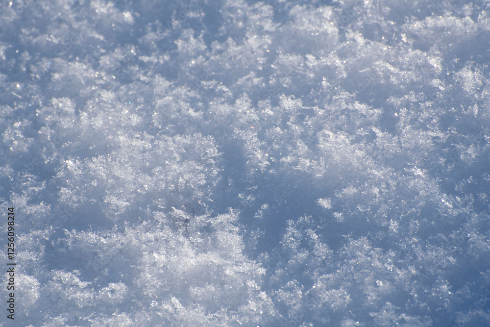 snow close-up snow close-up